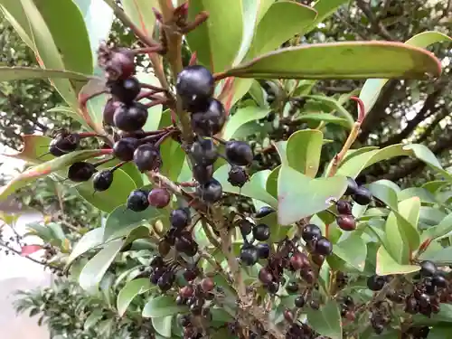 三輪神社の自然