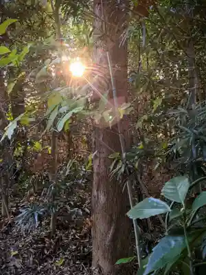 桜木神社(香川県)