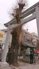 柏神社の鳥居