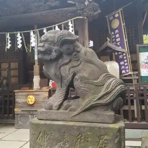 白髭神社の狛犬