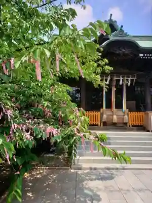 桜神宮(東京都)