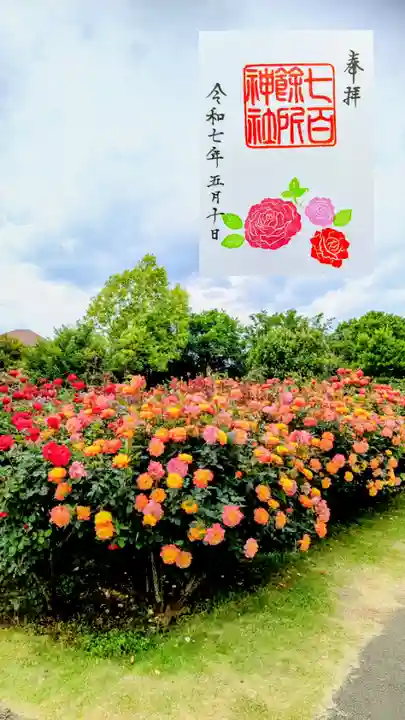 七百餘所神社 の御朱印