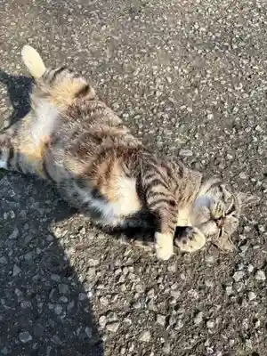 唐澤山神社(栃木県)