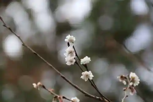 開成山大神宮の庭園