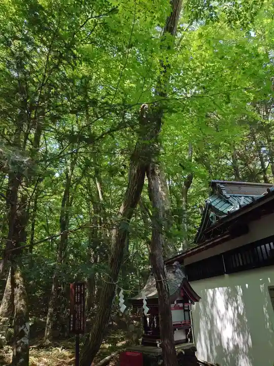 新屋山神社(山梨県)