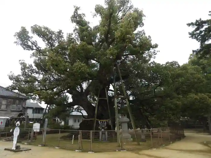 善通寺(香川県)