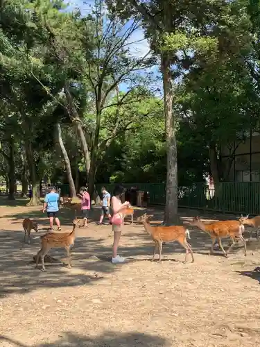 興福寺(奈良県)