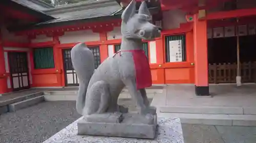 金神社の狛犬