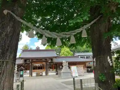 亀ケ池八幡宮の{uncategorized: "未分類", other: "その他", undefined: "問題あり", building: "その他建物", grave: "お墓", sacred_gate: "鳥居", guardian: "狛犬", statue: "像", buddha: "仏像", history: "歴史", nature: "自然", garden: "庭園", animal: "動物", pagoda: "塔", temizu: "手水舎", mountain_gate: "山門・神門", sanctuary: "本殿・本堂", subordinate: "末社・摂社", art: "芸術", scenery: "景色", jizo: "地蔵", ema: "絵馬", goshuin: "御朱印", omikuji: "おみくじ", items: "授与品その他", amulet: "お守り", goshuincho: "御朱印帳", eats: "食事", festival: "お祭り", votive_dance: "神楽", shichigosan: "七五三参", wedding: "結婚式", experience: "体験その他", initially: "初詣", around: "周辺", anti_infection: "感染症対策"}