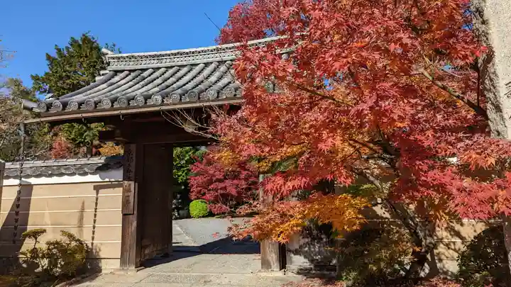 神光院(京都府)