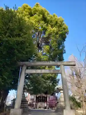諏訪神社(東京都)