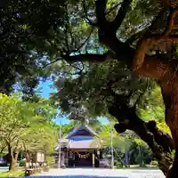 曽許乃御立神社(静岡県)