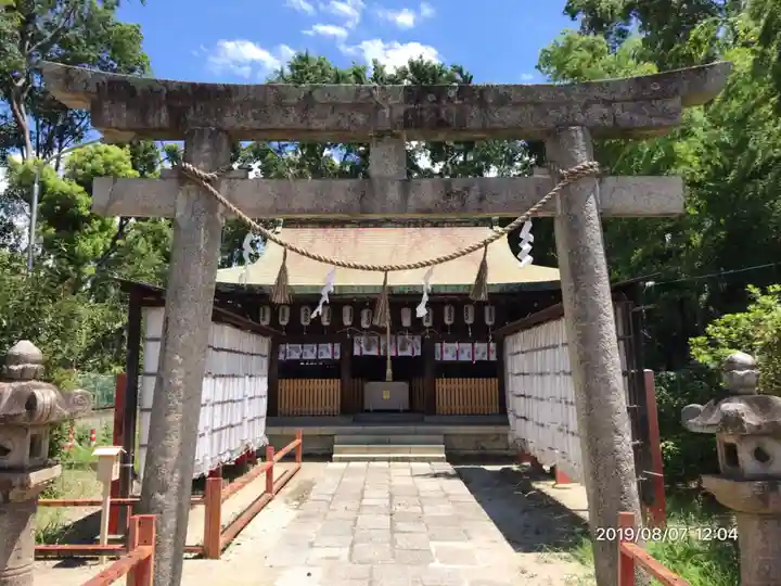 和泉國一之宮 大鳥大社の鳥居