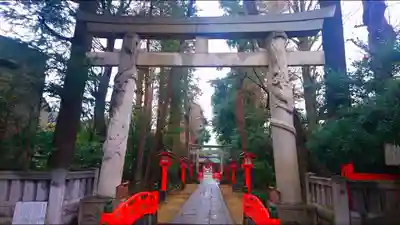 馬橋稲荷神社の鳥居