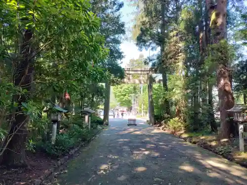 白山比咩神社の{uncategorized: "未分類", other: "その他", undefined: "問題あり", building: "その他建物", grave: "お墓", sacred_gate: "鳥居", guardian: "狛犬", statue: "像", buddha: "仏像", history: "歴史", nature: "自然", garden: "庭園", animal: "動物", pagoda: "塔", temizu: "手水舎", mountain_gate: "山門・神門", sanctuary: "本殿・本堂", subordinate: "末社・摂社", art: "芸術", scenery: "景色", jizo: "地蔵", ema: "絵馬", goshuin: "御朱印", omikuji: "おみくじ", items: "授与品その他", amulet: "お守り", goshuincho: "御朱印帳", eats: "食事", festival: "お祭り", votive_dance: "神楽", shichigosan: "七五三参", wedding: "結婚式", experience: "体験その他", initially: "初詣", around: "周辺", anti_infection: "感染症対策"}