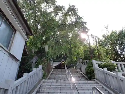 毛谷黒龍神社の建物その他