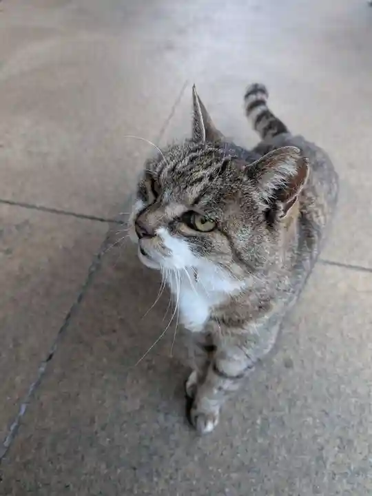 白金氷川神社(東京都)
