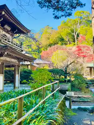 浄智寺(神奈川県)