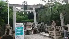 乃木神社の鳥居