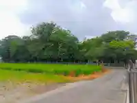 白山社(八幡社)の自然