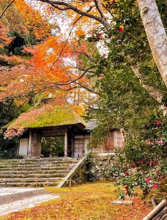 法然院の山門・神門