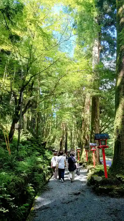 貴船神社(京都府)