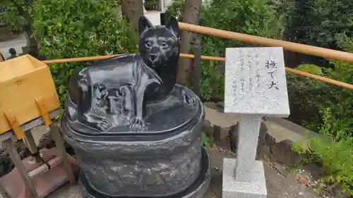 鎮守氷川神社の狛犬