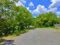 八幡神社(吉根南)の自然