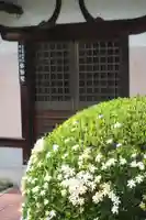 弥勒院(京都府)