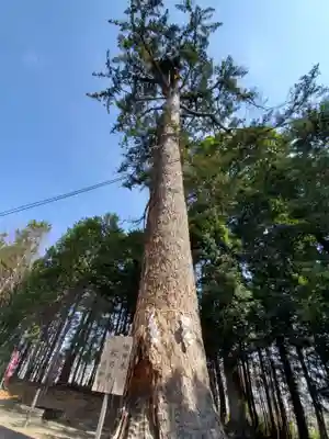 滑川神社 - 仕事と子どもの守り神(福島県)
