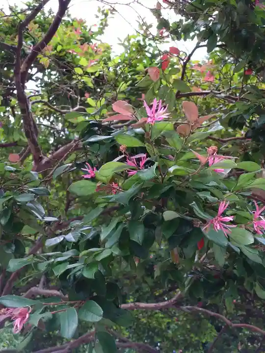 小一領神社(熊本県)