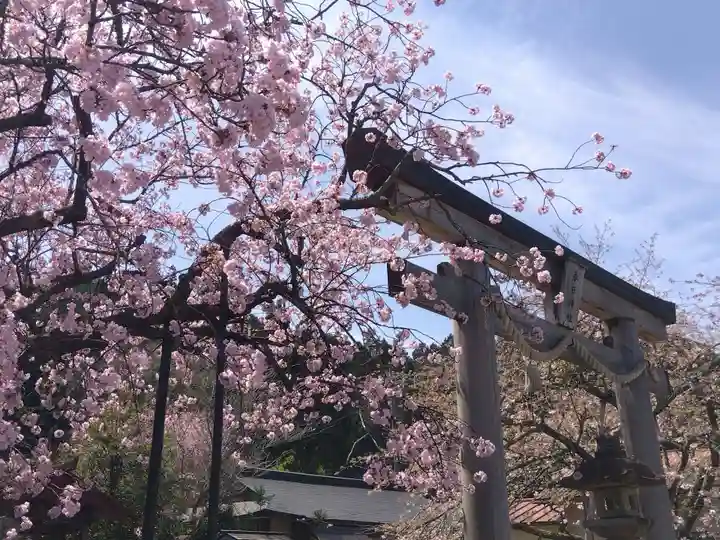 春日神社(京都府)