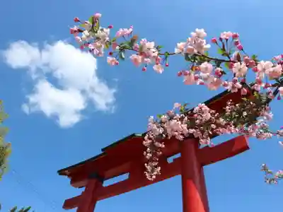 尼崎えびす神社の鳥居