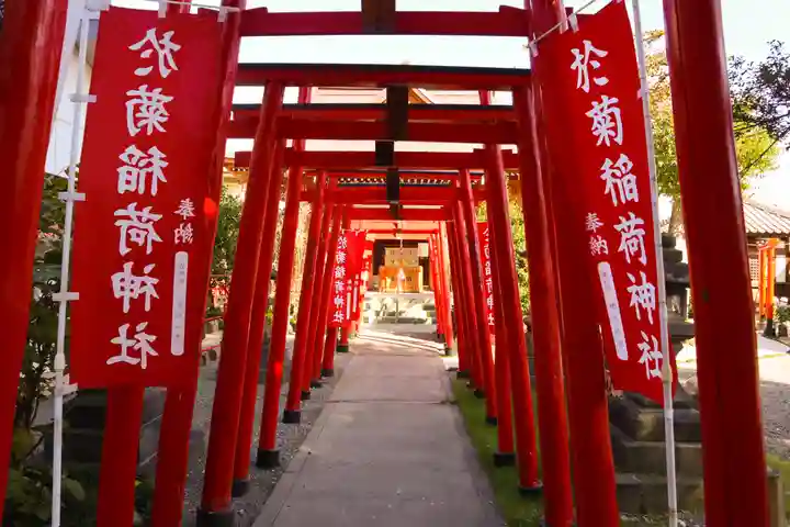 於菊稲荷神社の鳥居