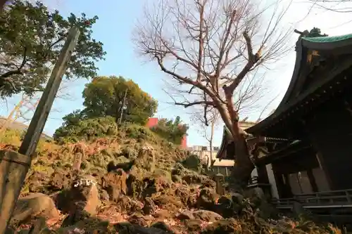 小野照崎神社の自然