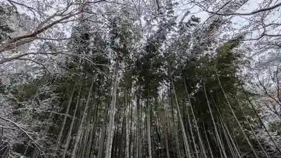 圓光寺(京都府)