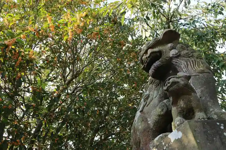 豊景神社の狛犬