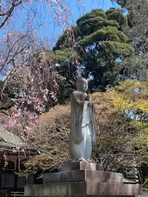 本土寺(千葉県)