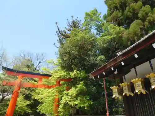 賀茂御祖神社（下鴨神社）(京都府)
