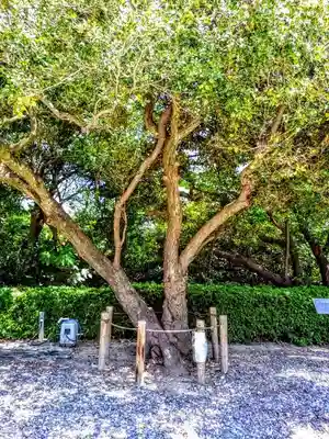 武雄神社のその他建物