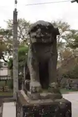 諏訪神社の狛犬