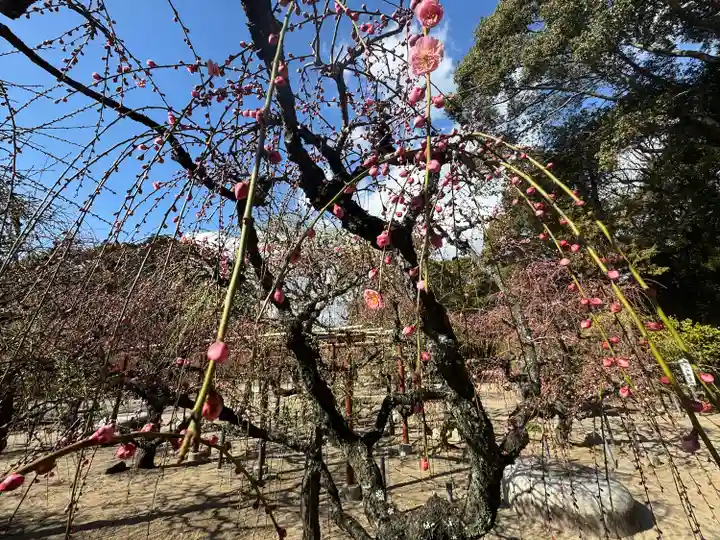 結城神社(三重県)