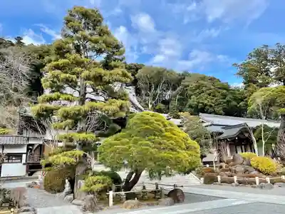 修禅寺(静岡県)