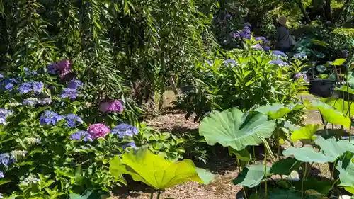 法金剛院(京都府)