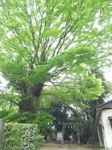 愛宕神社のその他建物