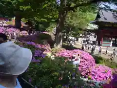 根津神社の庭園