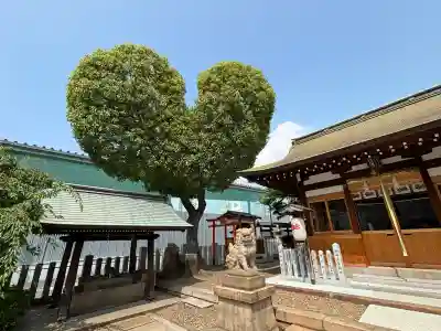 南宮宇佐八幡神社（脇浜神社）(兵庫県)