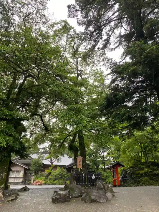 霧島神宮(鹿児島県)
