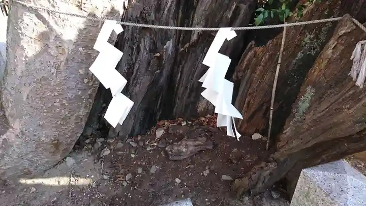 阿邪訶根神社の自然