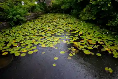 宇部観音千仏寺(山口県)